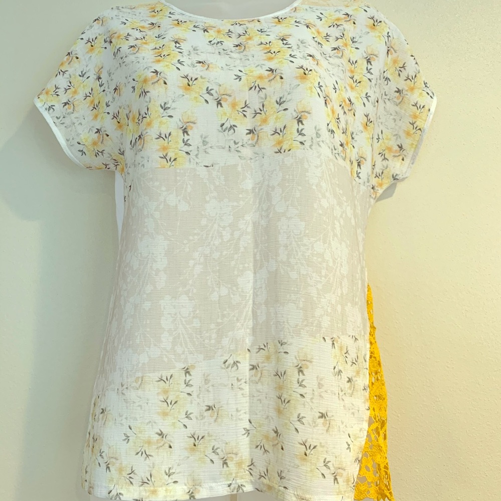 Zara Floral and Lace Top